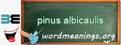WordMeaning blackboard for pinus albicaulis